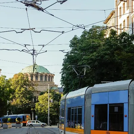 Lily's 7 By Bulgarentals -