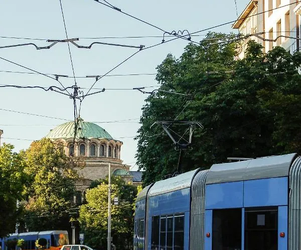 Lily's 7 By Bulgarentals -